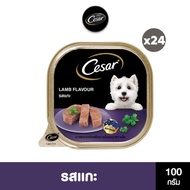 [ส่งฟรี] CESAR อาหารเปียกสุนัข แบบถาด ทุกรสชาติ 100 ก. (24 แพ็ก)