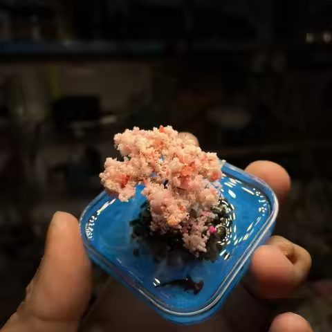 Micro Peach Blossom Island Diorama – Chibi Ancient Floating Island, Thumb-size Oriental Fantasy Fini
