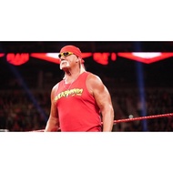Mattel WWE basic loose figure Hulk Hogan