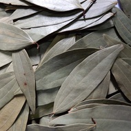 Daun Salam India/ Indian Bay Leaves 200g