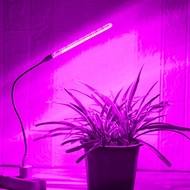 หลอดไฟ Grow LED 5V แบบเต็มสเปกตรัมพร้อมสายยางในร่มโคมไฟ Phyto หลอดไฟปลูกต้นไม้ไฮโดรโปนิกส์สำหรับเรือนกระจก