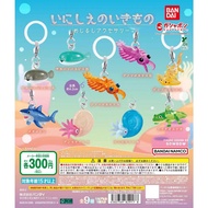 Original Bandai capsule toys cute Mejirushi Accessory Prehistoric Ancient Sea Creatures Ammonite sha