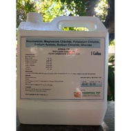 ESSENTIAL VET ESSENLYTE(PURE ELECTROLYTES) 1GALON