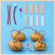 FREEWOODIE Fruit Battery Science Experiment Kit, Potato Powered STEM Experiment Electricity Experime