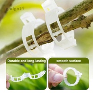 Secured Plant Support Clips Garden Clips Trellis Clips Vegetables Plant Fixing Clips Plants Orchard And Garden Tools