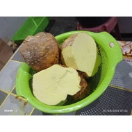 UBI GADUNG 1 KG - UBI GADONG -Dioscorea hispida