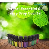 Natural Essential Oil Natural Plant Therapy Aromatherapy Oil Fragrance Oil for Aroma Diffuser Aromathery Diffuser Massage Soap Candle  Aromaterapi Essential 香薰植物精油
