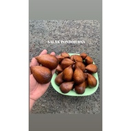 Salak Pondoh Buah Salak Fresh Pondoh 1kg isi 10-15 Biji Asli Banjarnegara Manis Grade Premium
