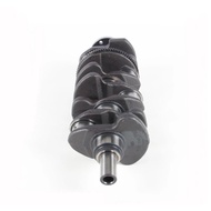 engine accessories crankshaft C300 E300 15 19 M274 A2740300101