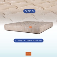 ZEN Collection ที่นอน ที่นอนยางพารา เสริมชั้นเมมโมรี่โฟม หนา 10 นิ้ว MUFFIN ขนาด 3.5ฟุต 5ฟุต 6ฟุต