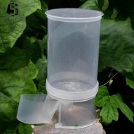 [Serenable] Automatic Pigeon Water Dispenser Pigeon Feeder Clear Supplies Water Pot Container for Wa