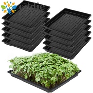 26EDIE1 10Pcs Seed Propagation Tray, Durable No Holes Plant Growing Trays, Sprout Hydroponic Systems Plastic Reusable 550x285x60mm Bonsai Flowerpot Tray Soil