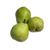 South Africa Packham Green Pear 3pcs