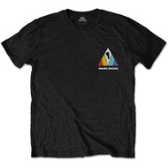 Imagine Dragons Evolve Logo T-Shirt For Man