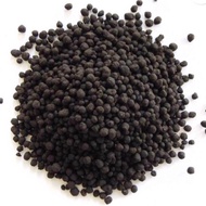 Imported Dwarf lotus soil, tanah bunga teratai mini