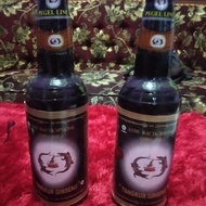 jamu tangkur buaya