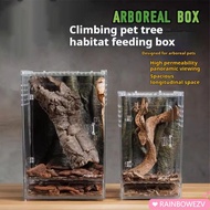 RAINBOWEZV 1Pcs Reptile Feeding Box, Acrylic Breathable Ecological Desert Landscaping Box, Anti-Esca