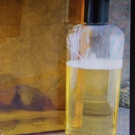 Olive Oil Liquid Castile Soap