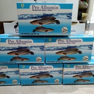 Pro albumin Snakehead Fish Extract