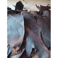 CRAZY HORSE Genuine Cowhide