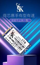 【現貨】全新(M.2 2242 NVMe SSD) 5年保固 PCIe Gen3x4 1TB 512G 256G 固態硬