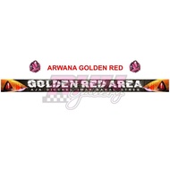 Stiker List Aquarium Green Arwana Area Goldn Red Silver Banjar Red Super Red Super Red Black Brazil