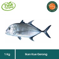 SedapYuk- Ikan Kuwe Gerong Kue GT Fish Segar 1kg & 500gr Seafood GRAB GOSEND