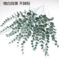 Simulation Leaves Eucalyptus Leaves Film Money Leaves Wedding Home Decoration Decoration Simulation 