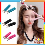Hair Roller Clips Hair Roller Clips