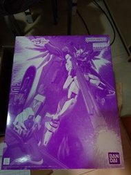 MG 1/100 Destiny Impulse Gundam R (Regenes)