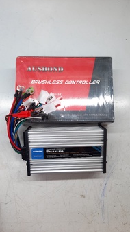 IC 500W-800W/ 48-60V Xe Đạp Điện