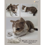 Real Cat // Realistic Doll American Shot Hair 🩶 Squat Posture Size 30 cm.