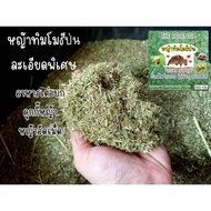 **Turtle Grass** Ground Timothy Grass/Ground Timothy/Ground Powder For Turtle Food/Order Day Per