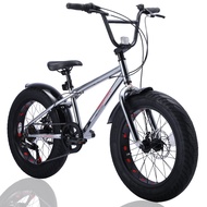 Discovery Adventures Fat Bike Fat City Cruiser BMX Bike City Beach Bicycle Freestyle City Riding 20Inch Stand Disc Brake