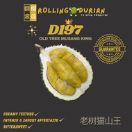 [SAME DAY DELIVERY] ROLLING DURIAN Fresh Pahang Black Gold/Old Tree Mao Shan Wang [500G] D197 黑金/老树猫