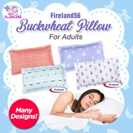 PIL2: Restock 16/02/2024 Baby/Adult Buckwheat pillow/buckwheat HUSK/ pillow/Buckwheat pillow