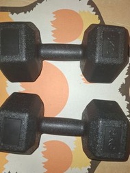 一對 5KG 啞鈴