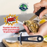 Oyster Knife