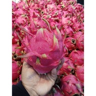 Buah Naga / Dragon fruit 1biji