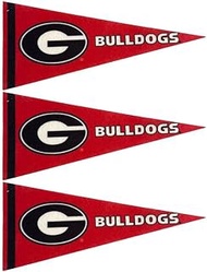 Georgia Mini Pennants - Size: 4" x 9" - Officially Licensed - 3 Pennants Per Pack