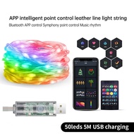 Smart Fairy RGB String Light USB 10M/33FT Waterproof String Light with App Control Sync to Voice & M