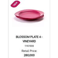 Tupperware Plate