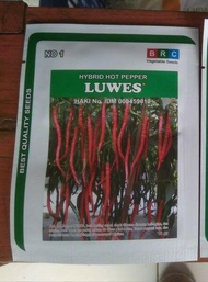 benih bibit cabe kriting LUWES F1 10gram