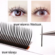Wetlook Anime Style Eyelashes Size 0.05