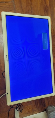 Skyworth LED-24E46 電視