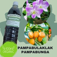 The Green Habit by May | Foliar Fertilizer for Plants Humc Plus 1000 ML Pampalago at pampabulaklak n