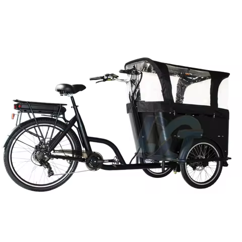 250 Watt 3 Wheel Electric Cargo Bike Mid Motor Electric Tricycles 3 Wheel electric cargo bike for Fa