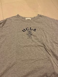 UCLA熊短T