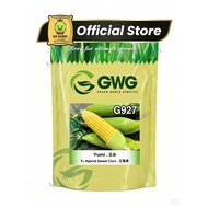 GWG 927 YUMI SWEET CORN/F1 BENIH JAGUNG VIRAL/BENIH JAGUNG MANIS/BENIH JAGUNG HIBRID/HYBRID