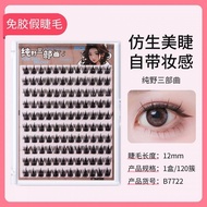TQ~BQI Genuine Glue-Free False Eyelashes Large Capacity New Style Ten Row Full Range Mom Natural Dai